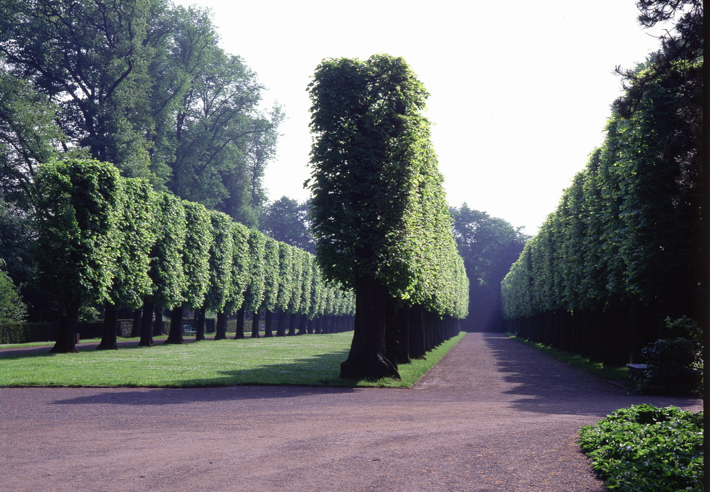 Benrath Schlosspark - topiary allees