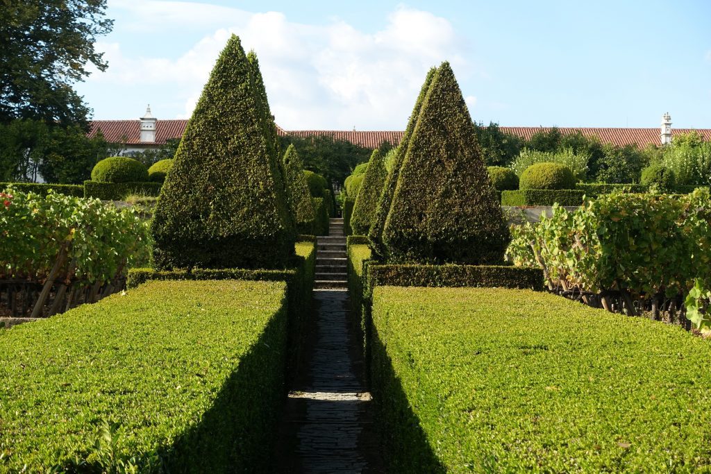 Topiary