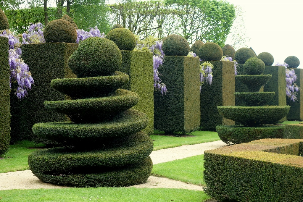 Picture of spiral-shaped bushes/trees in La Ballue park.